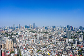 Fototapeta premium 日本の首都東京の都市風景