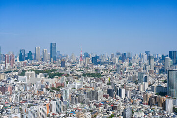 Fototapeta premium 日本の首都東京の都市風景