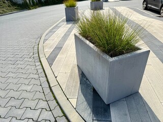 Concrete planter with grass