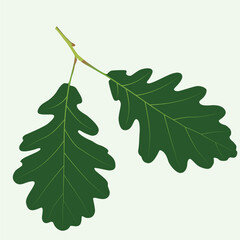 Realistic Leaf Vector Line Art &ndash; Botanical, Nature, Eco-Friendly Illustration 