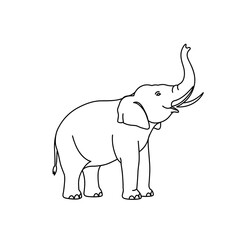 Fototapeta premium Line drawing of an elephant standing with its trunk raised 