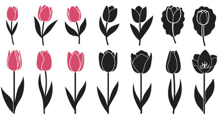 A collection of stylized tulip illustrations in black and pink tones