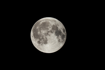 Holi Hindu heritage. Lunar New Year. Prahlad and Holika. Easter. Ramadan and Eid. Rosh Hashanah.