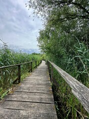 Obraz premium wooden promenade over the lake