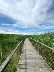 Obraz premium wooden promenade over the lake