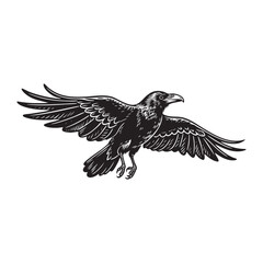 raven flying in Detailed Engraving Style Black and White 