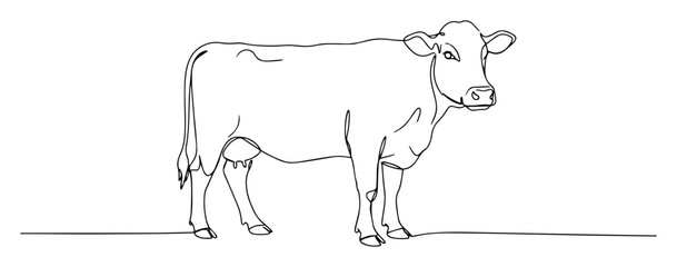 cow calf standing one continuous line drawing