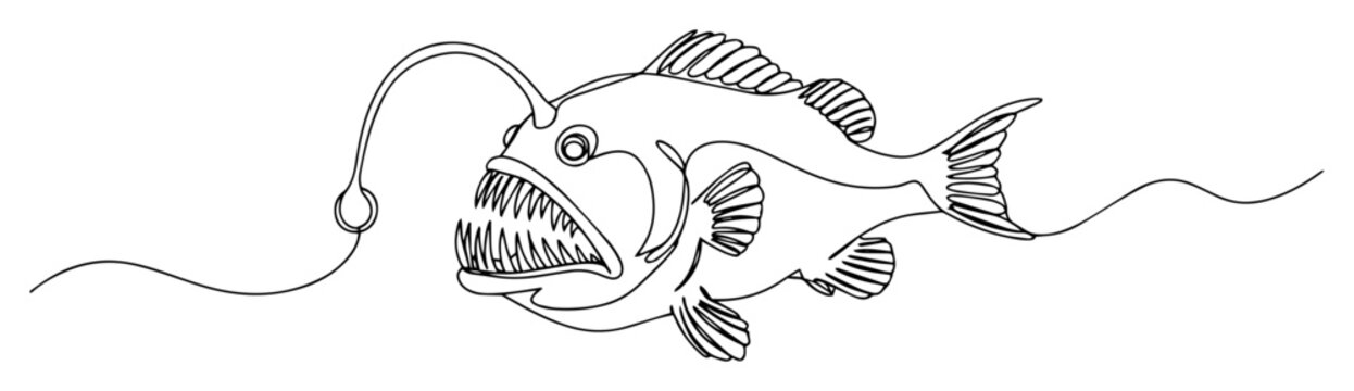 anglerfish deep sea predator continuous line fish vector monoline outline