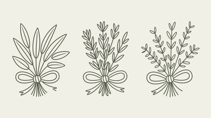 Three botanical bouquets with ribbons in a simple line drawing style on a light background color