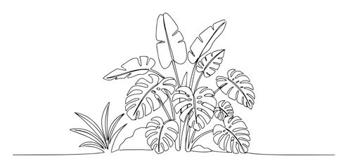 lush banana monstera philodendron jungle plant cluster minimal continuous line art vector linework © Wieslaw