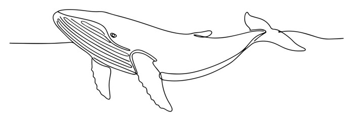 one single continuous line drawing of a majestic humpback whale a large ocean mammal animal vector illustration © Wieslaw