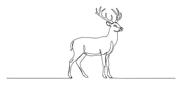 majestic stag with full antlers linework monoline vector engraving