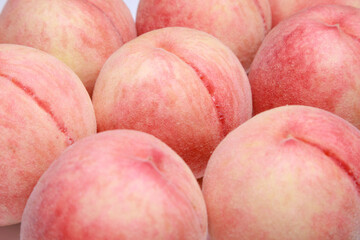 あらかわの桃、川中島白桃、ブランド桃、和歌山県産フルーツ © SACHIKO KONO