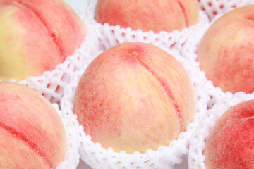 あらかわの桃、川中島白桃、ブランド桃、和歌山県産フルーツ © SACHIKO KONO