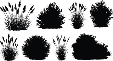 Bush and grass silhouette vector set with tall foliage, shrubs, and wild plants for nature, landscape, garden, and design themes