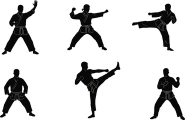 Martial arts silhouettes, karate fighters, taekwondo kicks, kung fu poses, self defense training, combat stances, martial artist uniform, black belt practice, sports illustration, fitness