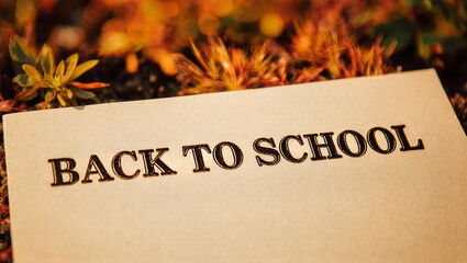 Classic Back to School Serif Text on Textured Paper, Ochre Garden Foliage and Soil Autumn Background