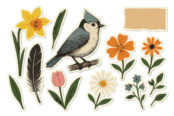 Spring collage cut out set. Titmouse bird, flower, feather shapes. Abstract floral paper clipping elements. Torn paper, grunge halftone texture. Modern retro zine style stickers.