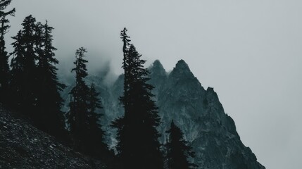 Misty Mountain Landscape with Tall Pine Trees and Rugged Peaks in Foggy Atmosphere