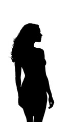 Elegant silhouette of a woman with flowing hair, captured in a dynamic, artistic profile, perfect for fashion and beauty concepts.