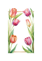 Obraz premium Watercolor Illustration of Pink and Orange Tulips Arranged in a Frame