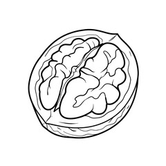 Cracked walnut showing textured nut inside in black and white  