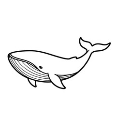 Whale illustration in black outline on white background  