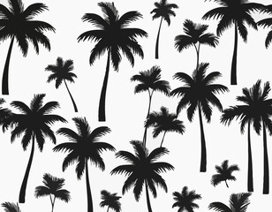 palm trees with leaves and black silhouettes isolated on a white background Vector