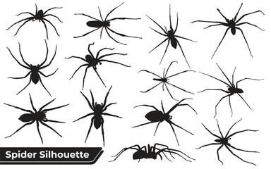 spider silhouettes sheet