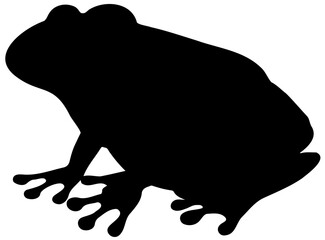 frog on a white background vector