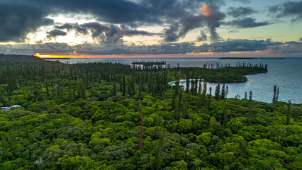Aerial view over the dense forest of unique Araucaria columnaris trees on the Isle of Pines at sunrise. A dramatic, cloudy sky hangs over the remote Pacific island coastline