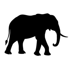 Fototapeta premium Elephant Silhouette Vector Icon