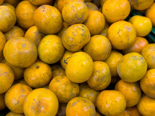 A large pile of freshly harvested, mottled yellow and orange oranges, with some visible dirt and blemishes, is shown in a close-up view.