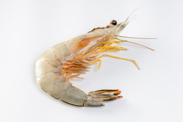 Raw fresh shrimp on white background