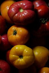 Fresh tomatoes close up, organic vegetable, healthy food