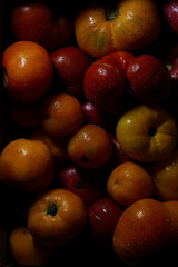 Fresh tomatoes close up, organic vegetable, healthy food
