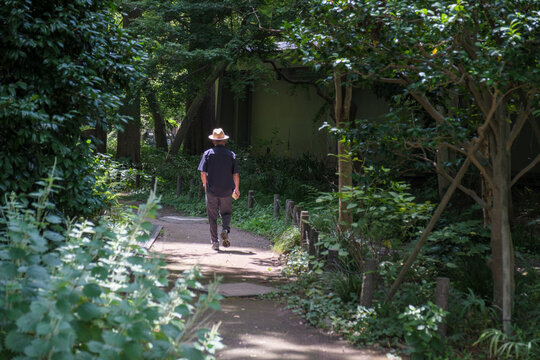 緑豊かな森の小道をひとり歩く人物
Person Walking Alone on a Forest Path Surrounded by Lush Greenery