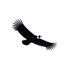 Obraz premium Soaring Condor Silhouette Symbolizing Freedom and Independence Above the Clouds in Vector Art Style