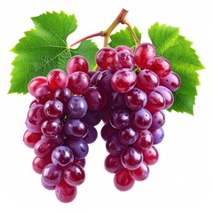 Fototapeta premium Two clusters of ripe red grapes with vibrant green leaves attached to a vine, isolated on a white background