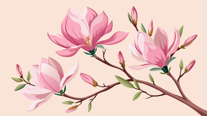 Obraz premium Vector art of beautiful magnolia branch with pink flowers and buds, a watercolor illustration on a light pink background, a delicate floral design element