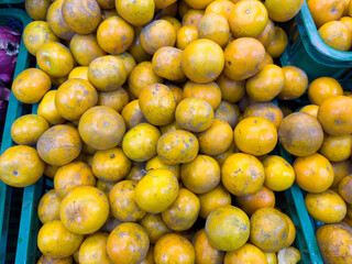 A large pile of freshly harvested, mottled yellow and orange oranges, with some visible dirt and blemishes, is shown in a close-up view.