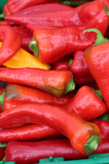 Red Peppers from the Garden