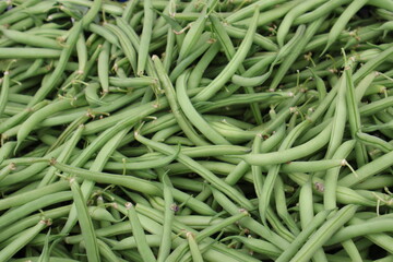 Fresh Green Beans from the Garden