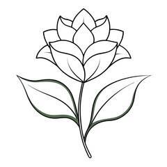 oyster plan line art vector on white