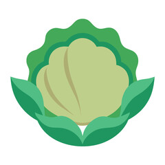 oyster plant vector on white