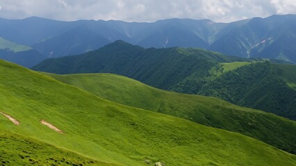 Fototapeta premium Green Mountain Landscape