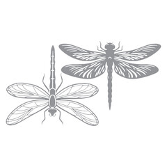 Dragonfly Icon Image
