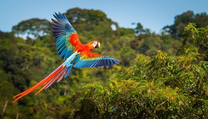 Fototapeta premium breathtaking image of a scarlet macaw soaring above the amazon rainforest generative ai