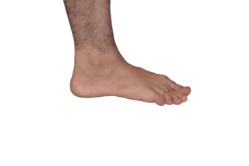 Male left foot side view showing natural flat arch and ankle structure, isolated on transparent background