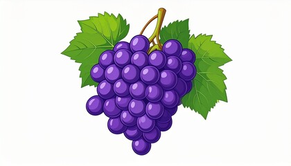 Isolated bunches of fresh grapes, ripe and ready for harvest, captured in a vibrant and healthy illustration